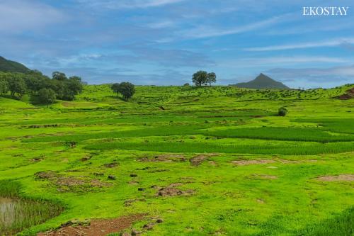 EKOSTAY - Neptune Villa, Igatpuri (foto 11)