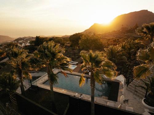 The Nest Tenerife
