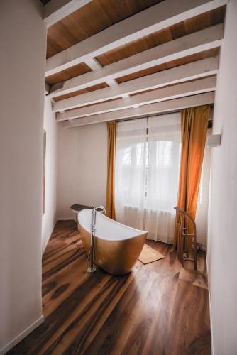 Baño, Chateau de Saint Dau in Figeac