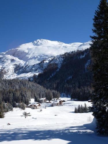 Obm See in 達禾斯沃爾夫岡