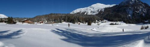 Obm See in 達禾斯沃爾夫岡