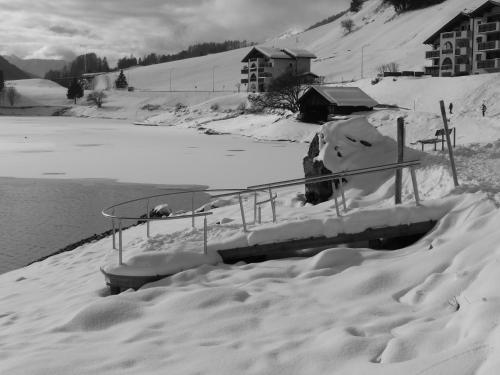 Obm See in 達禾斯沃爾夫岡