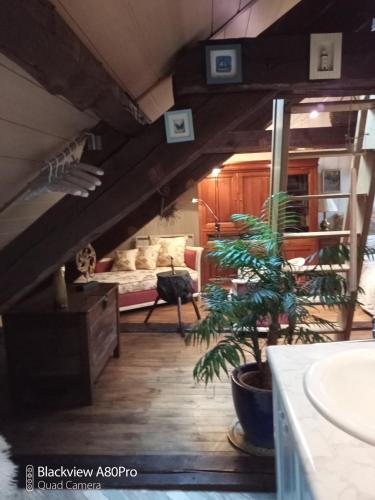 Le loft 3D - Location saisonnière - Olliergues