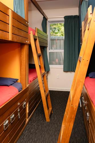 4-Bed Mixed Dormitory Room