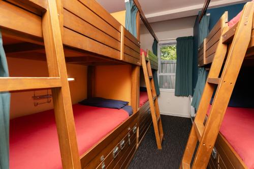 Bed in 6-Bed Mixed Dormitory Room