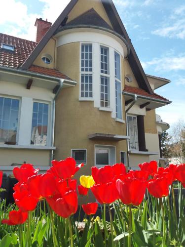 Villa Zouzou Bed and Breakfast - Accommodation - Vittel