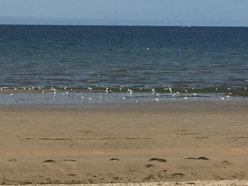 TANAGRA à Langrune-s-mer : 4 personnes (TANAGRA a Langrune-s-mer : 4 personnes) in Langrune-Sur-Mer