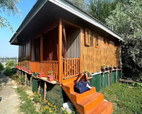 Flora Cottage , Srinagar