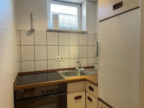 Apartment in Natur und Flughafen Nähe, Norimberga (foto 10)