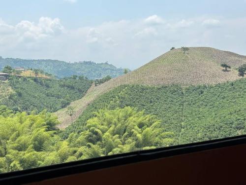 cabaña de guadua entre montañas