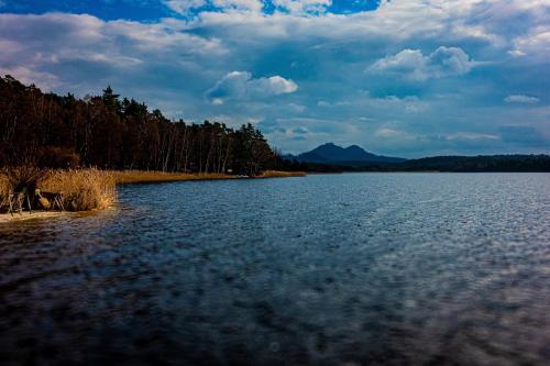 Terasy Mládí Máchovo jezero