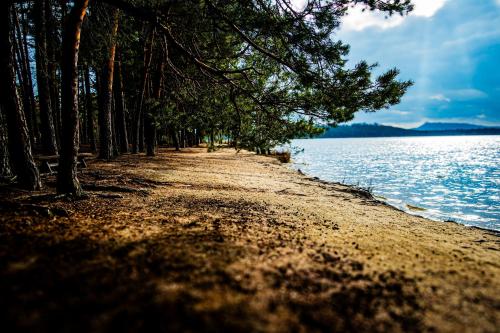 Terasy Mládí Máchovo jezero