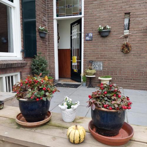 Vista exterior, De Mast bij Fort Vechten on the countryside & close to Utrecht in Bunnik