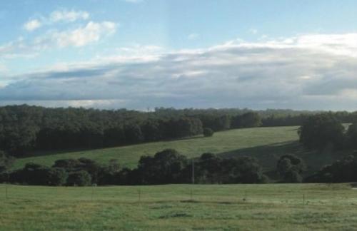 ヒルトップ ストゥデイオズ