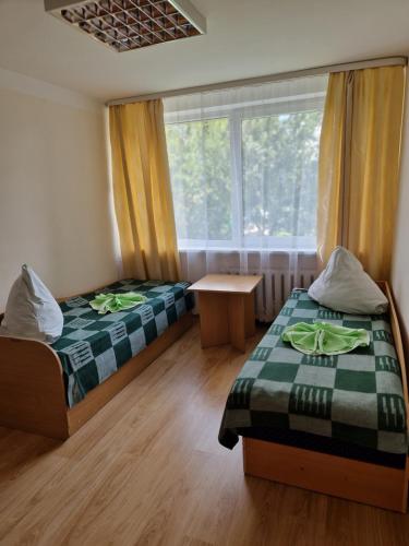 Kazino, Kambarių nuoma Žeimelyje (Kambariu nuoma Zeimelyje) in Gataučiai