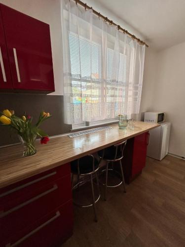 virtuve, Apartmán Žižka (Apartman Zizka) in Frimburka