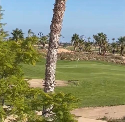 Joe & Clares Apartment on Golf Complex Murcia Region, Torre-Pacheco (photo 3)