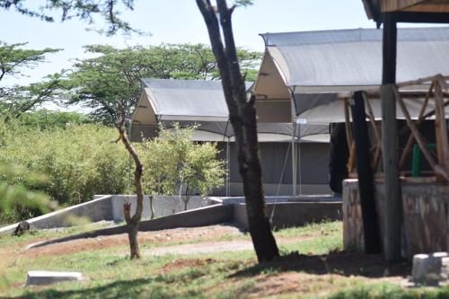 kubwa mara safari lodge tent camp