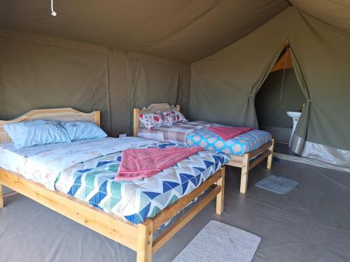 kubwa mara safari lodge tent camp