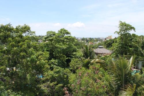 A környék, Roger's Place Guesthouse in Barangay Manoc-Manoc