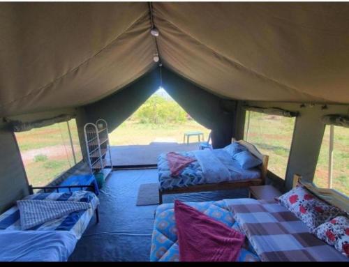 Mara Safaris lodge tent camp