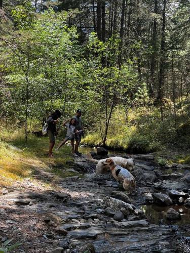 Cabaña los Soles, la Estanzuela Tlalpuhahua