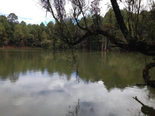 Cabaña los Soles, la Estanzuela Tlalpuhahua