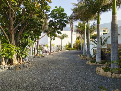 One bedroom apartement with sea view and enclosed garden at Guimar 4 km away from the beach