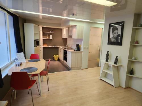 Studio Astrid - Location saisonnière - Malines