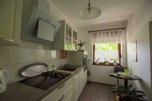 virtuve, Apartment Ledenice, Novi Vinodolski 40867 in Ledenice