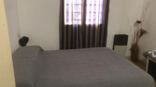 Zapala departamentos por día (Zapala departamentos por dia) in 사팔라