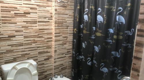Zapala departamentos por día (Zapala departamentos por dia) in 사팔라