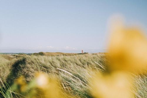 Duinland 251 - Park Duinland Sint Maartenszee in Schagen