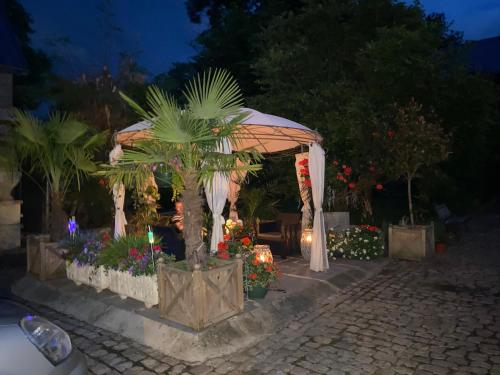 Le Clos de la Belle Loge Location de studio in Potelle