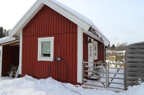 Cozy small house in a nature-filled area