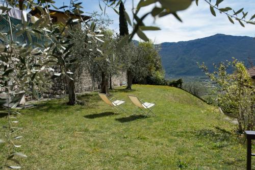 One-Bedroom Apartment with Garden