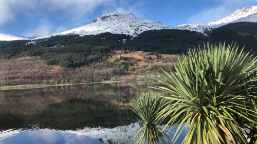 View, Heron’s View in Arrochar