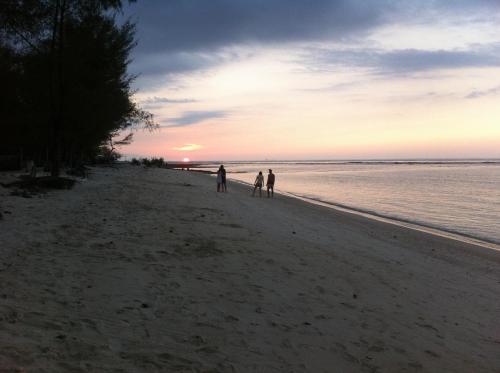 Bluecoral Bungalows