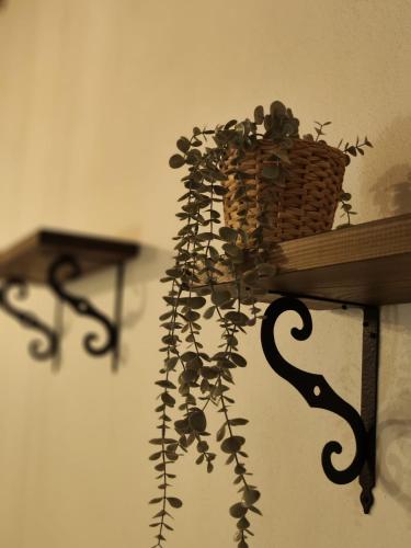 . Casa Moya