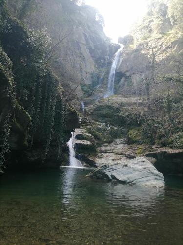 Musses in คาลามากิ