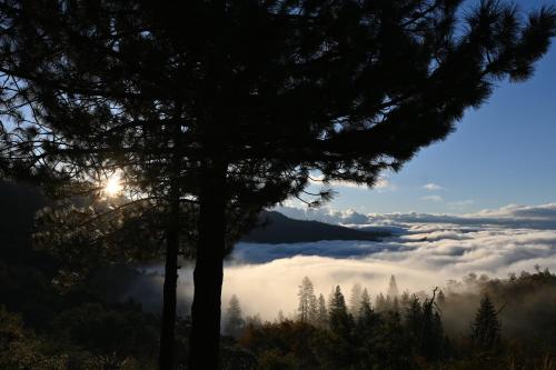 Enchanted Forest Dome ,10-15 minutes to Kings Canyons-New pellet stove for cozy warm nights