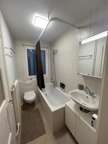 Jungstay Apartments- near Basel, Basilea (foto 9)