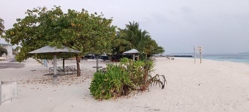 ทัศนียภาพ, มันตา สกาย อินน์ (manta sky inn) in บา อะทอล