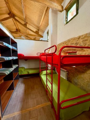 Bed in 6-Bed Mixed Dormitory Room