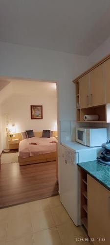Borisz Apartman Zalakaros in Zalakaros