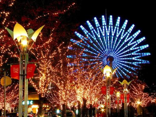 Kotobukirou - Vacation STAY 01908v