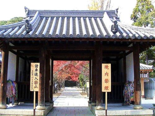 Kotobukirou - Vacation STAY 01908v