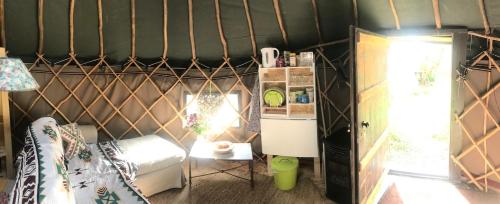 Yurt Between Lilac and Fuchsia