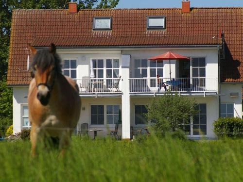 Cosy apartment in Garz in Zudar, Deutschland