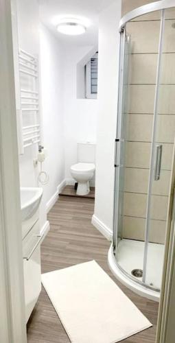 Central studio flat, Bucharest (photo 3)